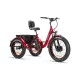 ZT-80A Trailer - Elektrický trojkolesový bicykel